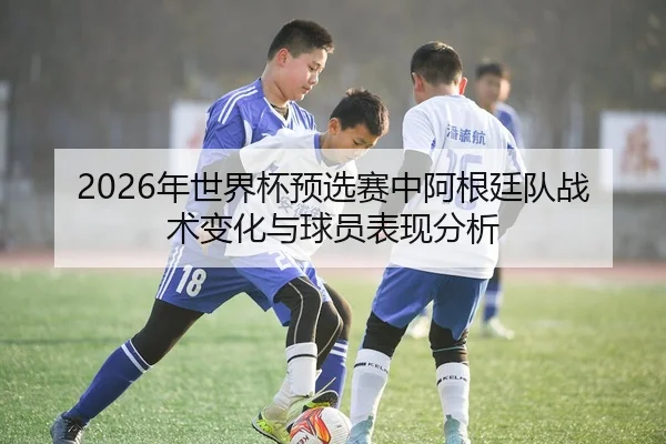 2026年世界杯预选赛中阿根廷队战术变化与球员表现分析