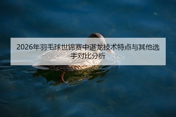 2026年羽毛球世锦赛中谌龙技术特点与其他选手对比分析