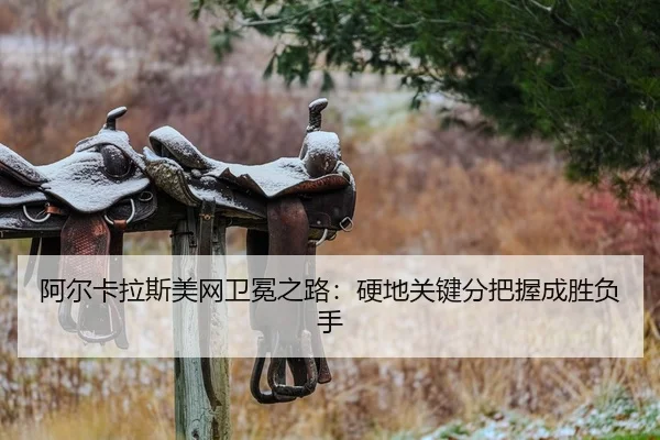 a-er-ka-la-si-mei-wang-wei-mian-zhi-lu-ying-di-guan-jian-fen-ba-wo-cheng-sheng-fu-shou-2-523.jpg