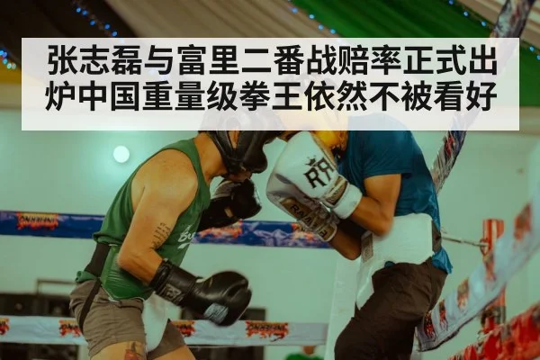 张志磊与富里二番战赔率正式出炉中国重量级拳王依然不被看好
