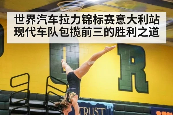 世界汽车拉力锦标赛意大利站现代车队包揽前三的胜利之道